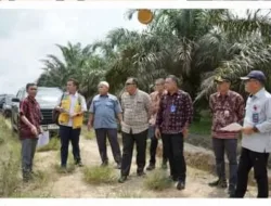 Sekda Budhi Hartono Melakukan Peninjauan lokasi Rencana Pembangunan Gedung Sekolah Rakyat