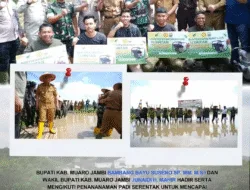 Penananaman Padi Serentak Untuk Mencapai Swasembada Pangan Nasional Seluruh Indonesia