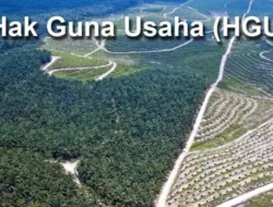 Aturan Baru Sistem HGU, Menteri ATR/BPN Wajibkan 20 Persen Plasma Bagi Masyarakat