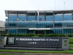 PTPN VI Dilaporkan  ke KEJATI JAMBI Atas Dugaan Pelanggaran Sempadan Sungai dan CSR