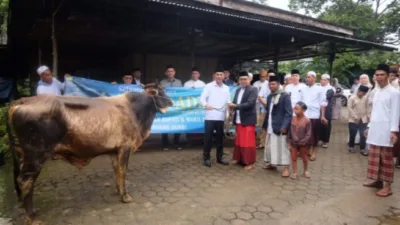Wabup Junaidi H. Mahir, sholat ied Dan Serahkan Hewan Kurban Di Jambi Kecil
