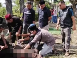 Semangat Berbagi di Idul Adha 1446 H, DPRD Muaro Jambi Sembelih 2 Ekor Sapi untuk Warga